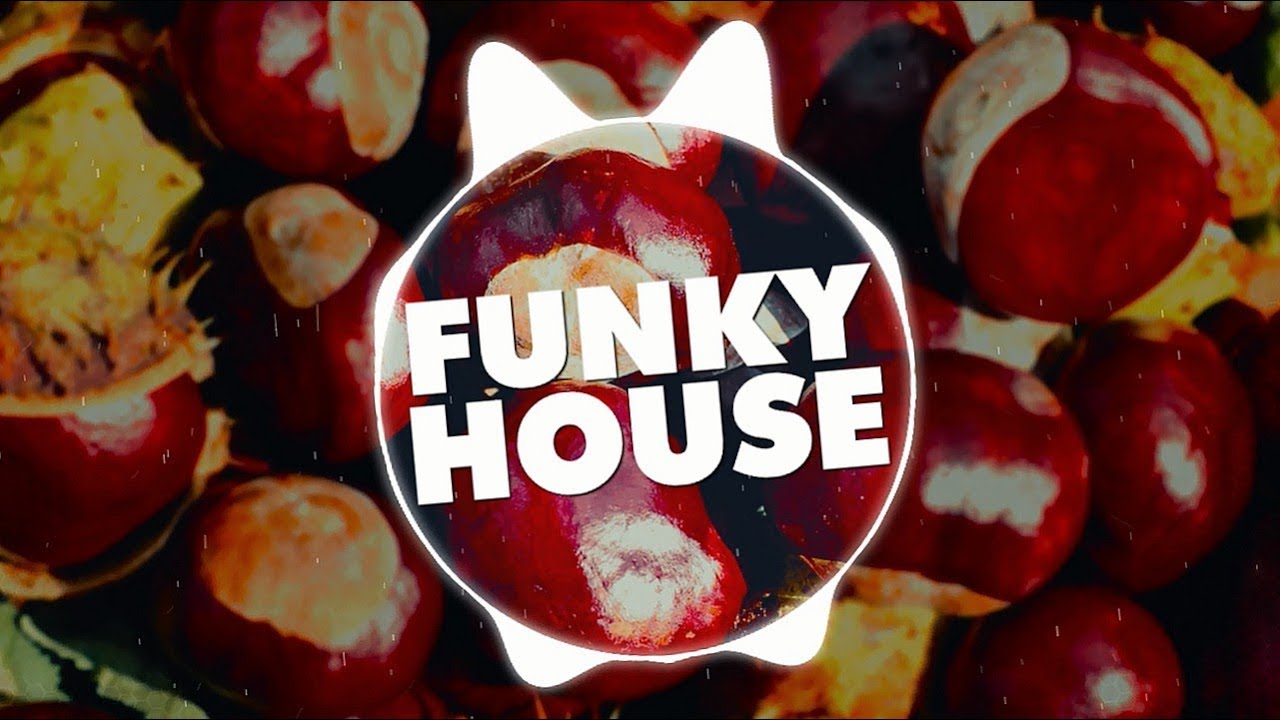 Funky House Samplepack | 1,6 GB Of Kits, Spire Presets, Drums, Loops & More!