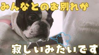 東京に戻ります