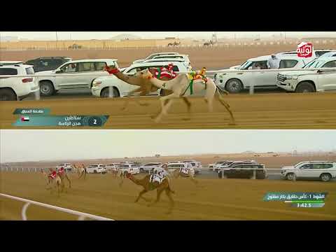 ش 1 الخليجية لـ مانع علي حماد الشامسي 4:44:44 ، كأس الاتحاد السعودي 2026/10/01  الطايف حقايق 