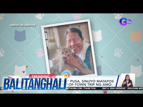 "Meow-tampuhin" na pusa! BT