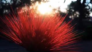 Through The Eyes Of God!