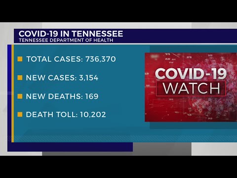 Coronavirus in Tennessee: 3,154 COVID cases, 169 deaths reported February 4