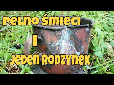 Leśne wykopki. 01.08.2020