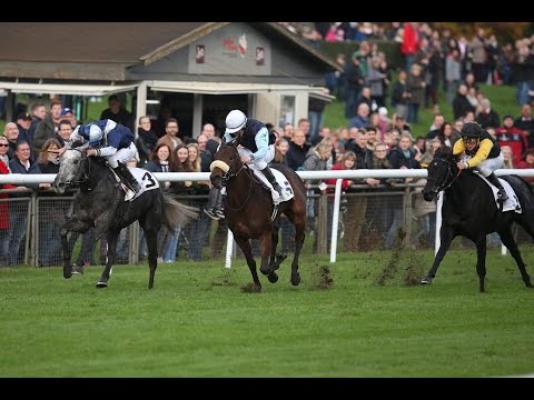 Hannover: Großer Preis der Mehl-Mülhens-Stiftung  (Listenrennen) - Siegerin: Fashion Queen