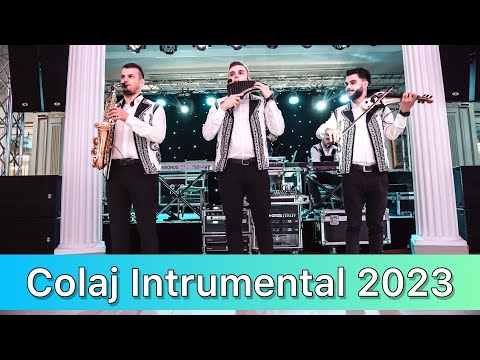 Trupa Art ❌ Program Instrumental ❌ NOU 2023