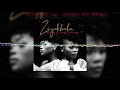 Q Twins Feat. Kabza De Small  - Ziyakhala (Official Audio)