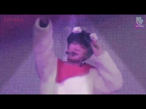 kim sook jin is so cute anpanman bts