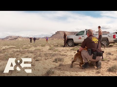 Live PD: Spike Strip Success | A&E