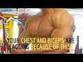 Your chest/ biceps are lagging is because they are not strong enough in the shortened phase!