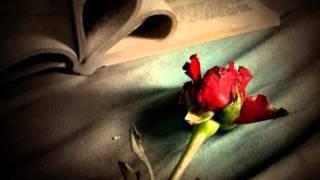 como quisiera decirte  ( angeles negros )