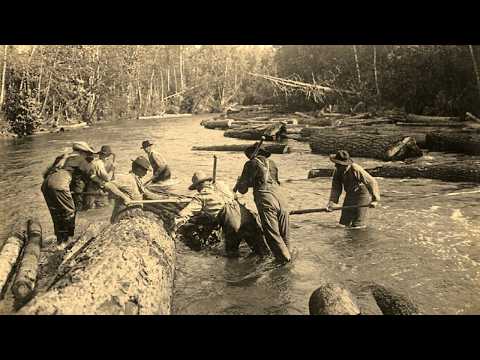 How America Dragged 100-Foot Logs Through Swamps on Wooden Rails