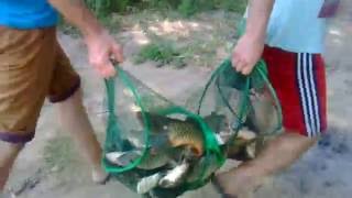 Рыбалка в кап яре на ахтубе роговой волги