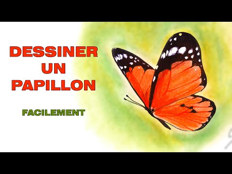 Comment dessiner un papillon facile a faire en couleur