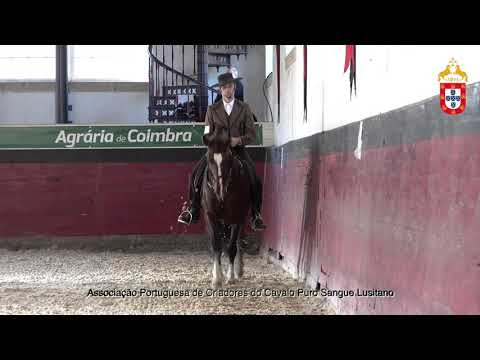 211023 2 Icaro da Sernadinha - Aprovação de GaranhõesL