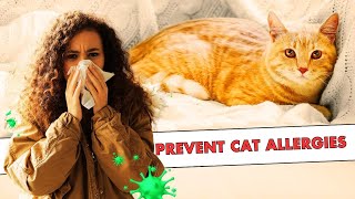 How To Get Rid Of Cat Allergies Naturally