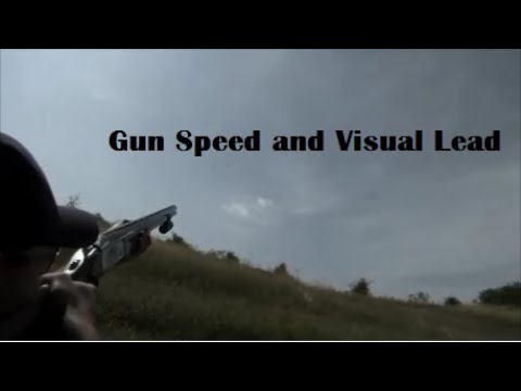 Gun Speed and Visual Lead