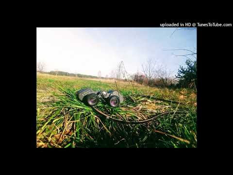 Polowanie na uciekający czas