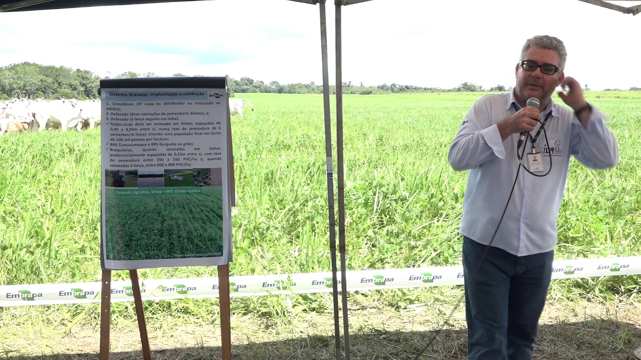 Implantação, condução e finalidades do Sistema Gravataí - Flavio Wruck (Embrapa Agrossilvipastoril)