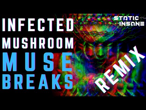 INFECTED MUSHROOM - MUSE BREAKS (STATIC INSANE REMIX) | PSYTRANCE FULL ON MORNING
