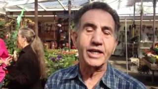 Grow healthy roses and bromeliads