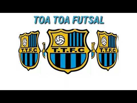 TOA TOA CAMPEÃO FUTSAL