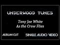 Tony Joe White ~ As the Crow Flies ~ 1972 ~ Single Audio Video