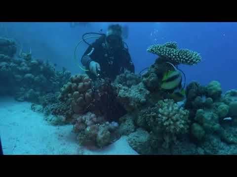 Zdenka & Chris : Oktopus klaut GoPro 3