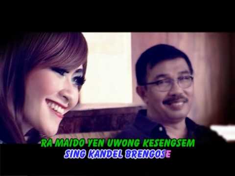 Kang Herry Ft. Citra Icikiwir - Kesengsem | Dangdut [OFFICIAL]