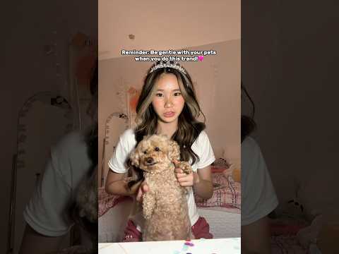 this trends so cute but careful!🤎 #fyp #viral #shorts #pet #dog #dance #trending
