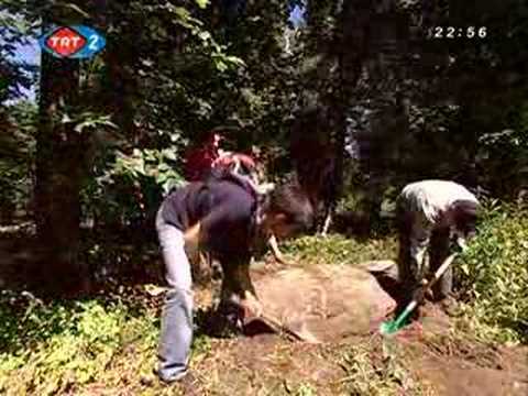 Özü Türk - (Tatar-Tatarlar-Tatars from Poland&Lithuania ) Part 8