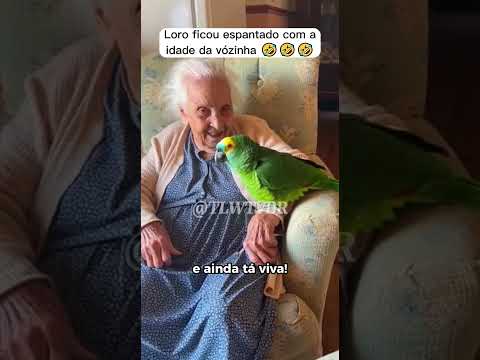 Loro ficou espantado com a idade da vózinha 🤣🤣🤣#papagaio #papagaiofalando #papagaioengraçado #humor