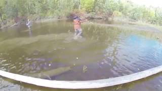 Ссылка