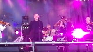 Feast of Fiddles - Butterfly's Wing - Cropredy 2017