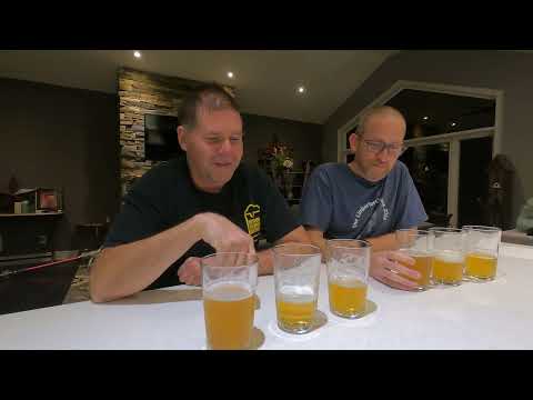 Homebrewing yeast review - Pale ale made wit US 05, S 33 and Kveik Voss yeast.