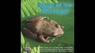 Download lagu Caribbean Rain Forest Song [2002, Full Album] mp3