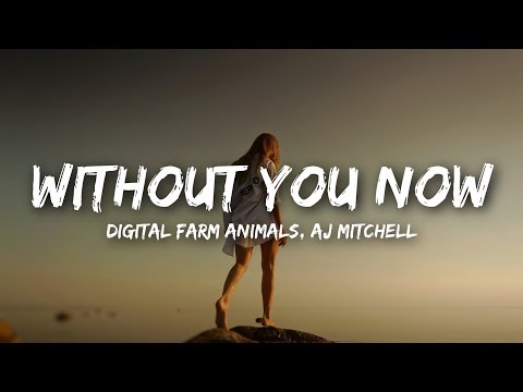 Digital Farm Animals, AJ Mitchell - Without You Now (Lyrics)
