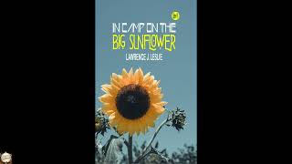 In Camp on the Big Sunflower