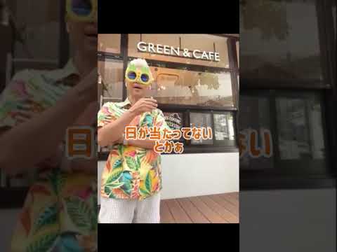 ヒマワリを好む: これが仕組みです 植物