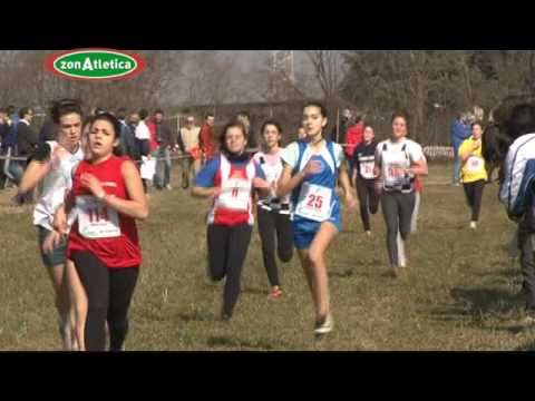 Festa del cross veneto 2011