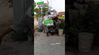 Download lagu Pancen Angel #komedi mp3 Download lagu Pancen Angel #komedi mp3