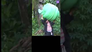 Download lagu Gas LPG langka Pak No Bawakan Buat Dek Mintul mp3