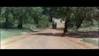 Download lagu Os Deuses Devem Estar Loucos 1 mp3