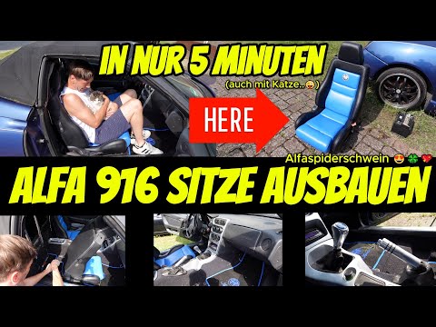 ALFA ROMEO 916 LEDERSITZE AUSBAUEN 😍 GTV / Spider 👉 NEUE SITZE ? DA FREUT SICH DIE KATZ !!! 😜😂😂
