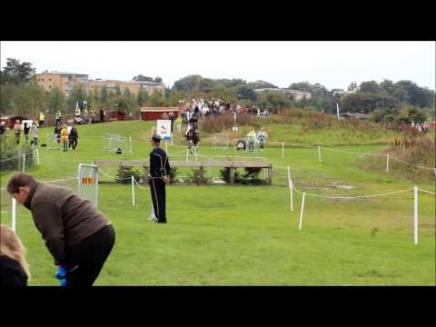 FEI European Eventing Championships 2013