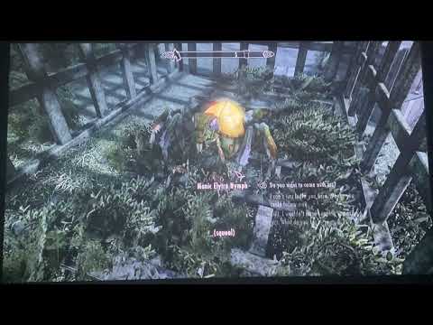 Skyrim Anniversary Edition (Modded) - Walkthrough Part 26: Bandits have no borders￼