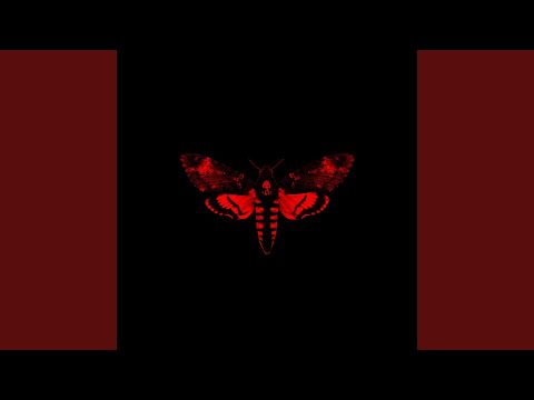 Video thumbnail for Wowzers