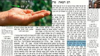 דף יומי מסכת זבחים דף צג Daf yomi Masechet Zevachim page 93  ע"י יוני גוטמן (שיעורי הדף היומי ב-20 דקות - מועבר ע"י ר' יוני גוטמן - לעילוי נשמת אביו ר' אלימלך צבי (צביקה) גוטמן ז"ל) - התמונה מוצגת ישירות מתוך אתר האינטרנט יוטיוב. זכויות היוצרים בתמונה שייכות ליוצרה. קישור קרדיט למקור התוכן נמצא בתוך דף הסרטון