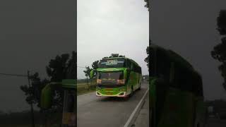 Download lagu Efisiensi Rindu Orderan Reborn E387 || #shorts #busmania mp3