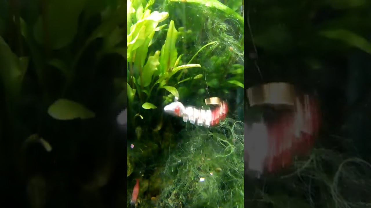 VID 20221124 130343050 online video cutter com