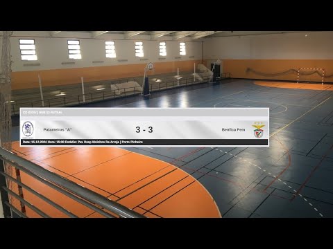 Jornada 11 - Patameiras 